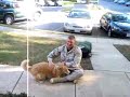Dog Freaks Out Over Soldier's Return
