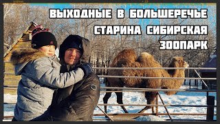 видео: Как провести выходные зимой в Большеречье Омская область. Старина сибирская. Большереченский зоопарк картинка: Как провести выходные зимой в Большеречье Омская область. Старина сибирская. Большереченский зоопарк