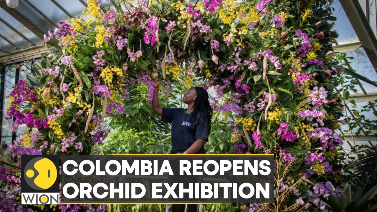 Colombia reopens orchid exhibition after pandemic break WION YouTube