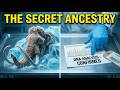 What DNA Revealed About Woolly Mammoths Shocked Scientists