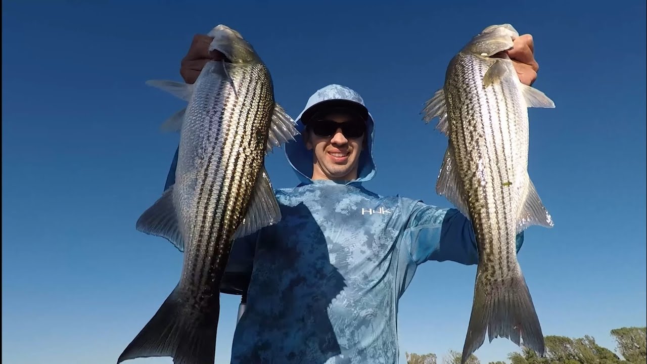 HOW TO CATCH MORE STRIPERS Fishing on the CA Delta YouTube