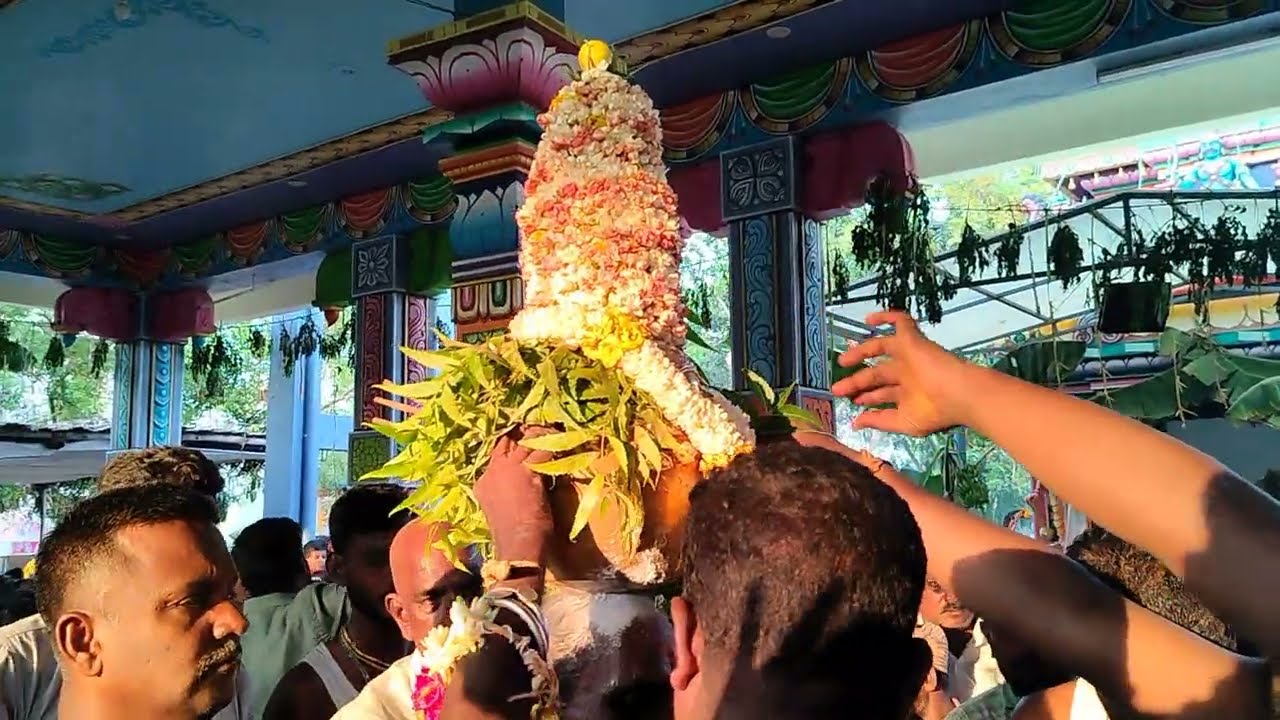 🪷நாரையூரணி முளைக்கொட்டு முளைப்பாரி திருவிழா 2024 - 7 | Naraiyurani Mulaikottu Mulaipari Thiruvizha 7