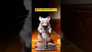 चूहे की कहानी खत्म होगी🔥😂 #funny #rockahmad07 #funnyanimal #shorts