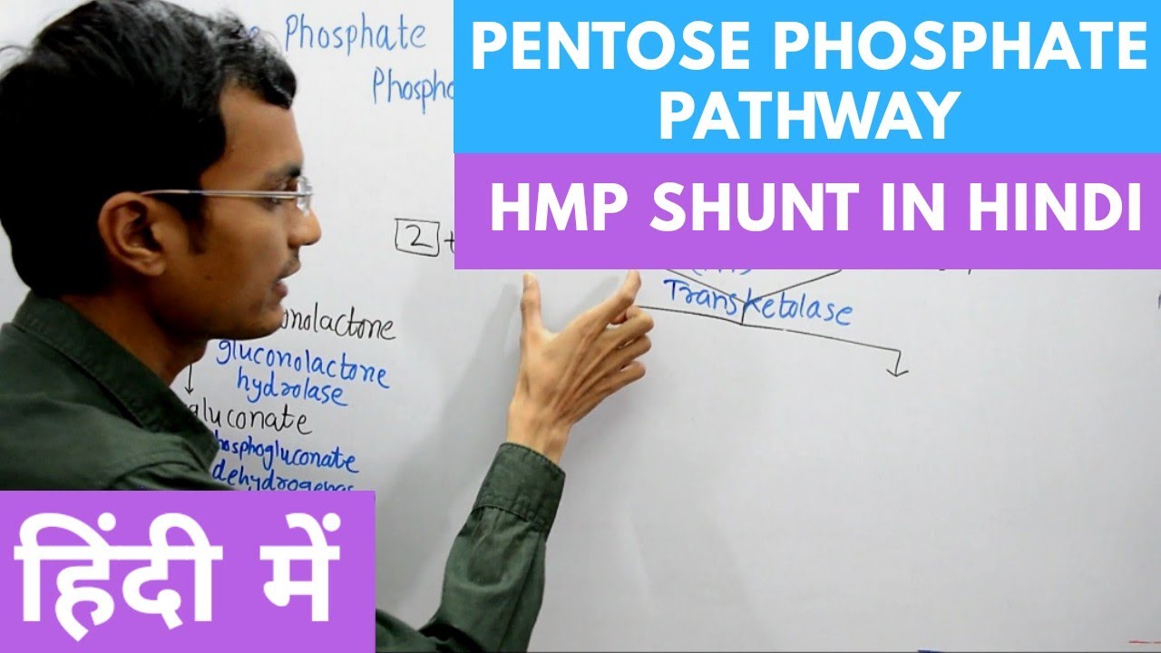Pentose Phosphate Pathway | Hexose Monophosphate Shunt in Hindi