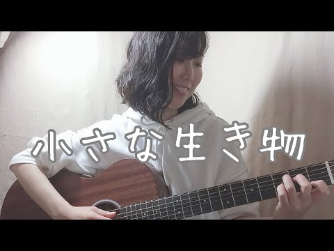 小さな生き物/スピッツ ギター弾き語りカバー
