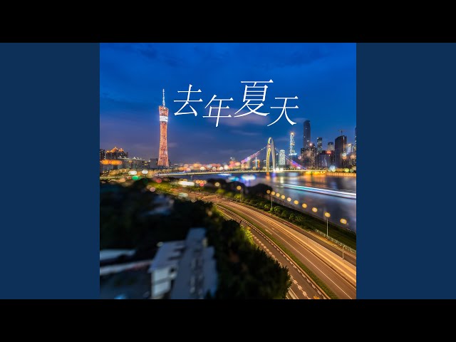 去年夏天 (DJ版)