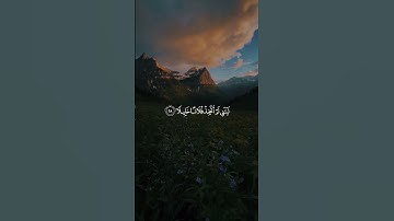 ويوم يعض الظالم علي يديه/ القارئ محمد اللحيدان #قرآن