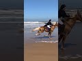 The girl horse racing on the beach #horseriding #shorts