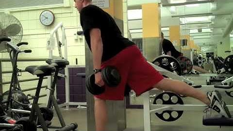 Self Made Exercise Index:  DB Bulgarian Split Squats