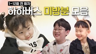 (2시간)《하하버스》 1~12회 전 회차 미공개 몰아보기 [하하버스 모음집]