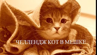 картинка: ЛЮБИМЫЙ ЧЕЛЛЕНДЖ КОТ В МЕШКЕ. ТЕБЕ ВЫБРАЛИ А ТЫ РАСКРАШИВАЕШЬ.