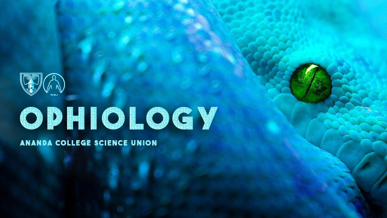 Ophiology | Ananda College, Colombo 10 | Featurette'23 Documentary Competition
