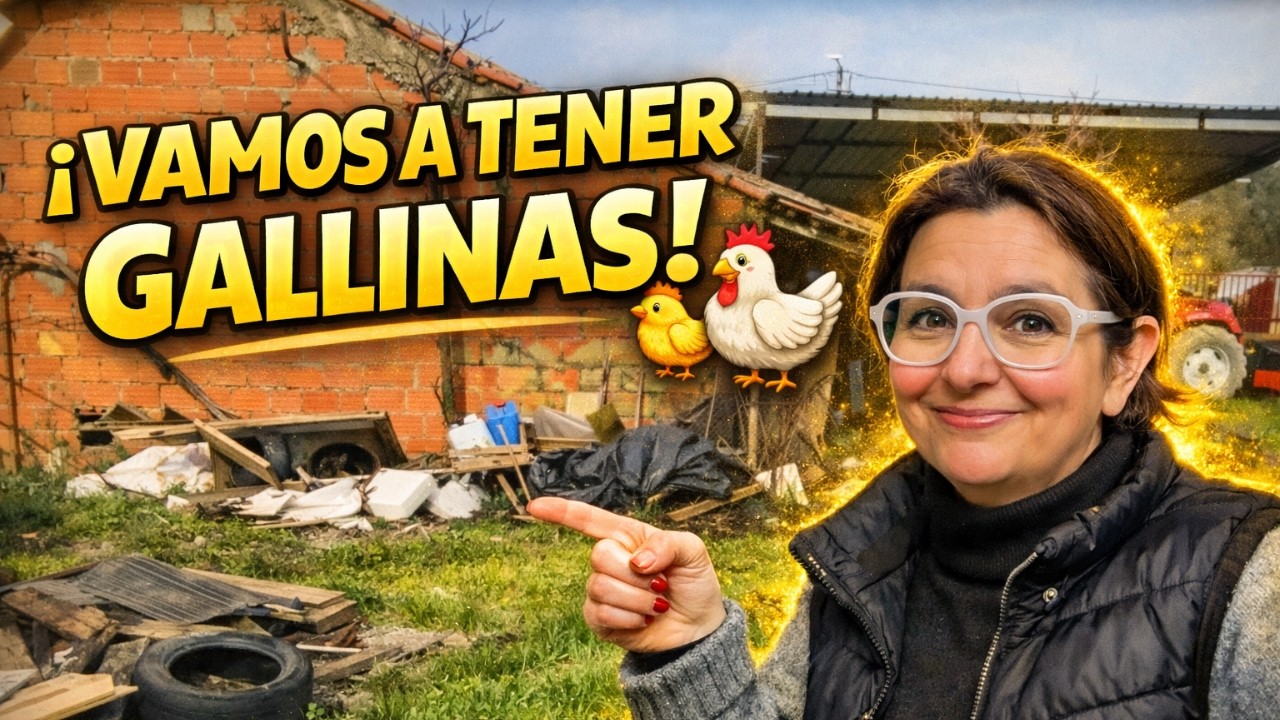 Empezamos el gallinero 🐔 Vida rural en la aldea | VLOG