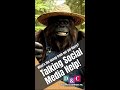 Do you need help with your social media in 2025? Harry here has some advice!