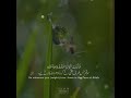 Beautiful Recitation of Quran with English and Urdu Translation By Mufti Mustafa Aziz | Seeraht