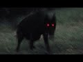 PREDATOR Ultra Slowed PREDATOR Ultra Slowed