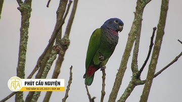 Phút Cầu Nguyện, Thứ Năm 02/05/2019: Tỏa Sáng Tình Người