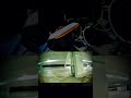 Fpv Garage session | Caddx Ascent lite #drone #caddxfpv #tinywhoop #fpv