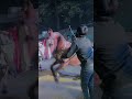 🐎 🐴 🎠  ka dance #video #viral #trending #shorts#video #vlog #shortvideo #rohityadav5505