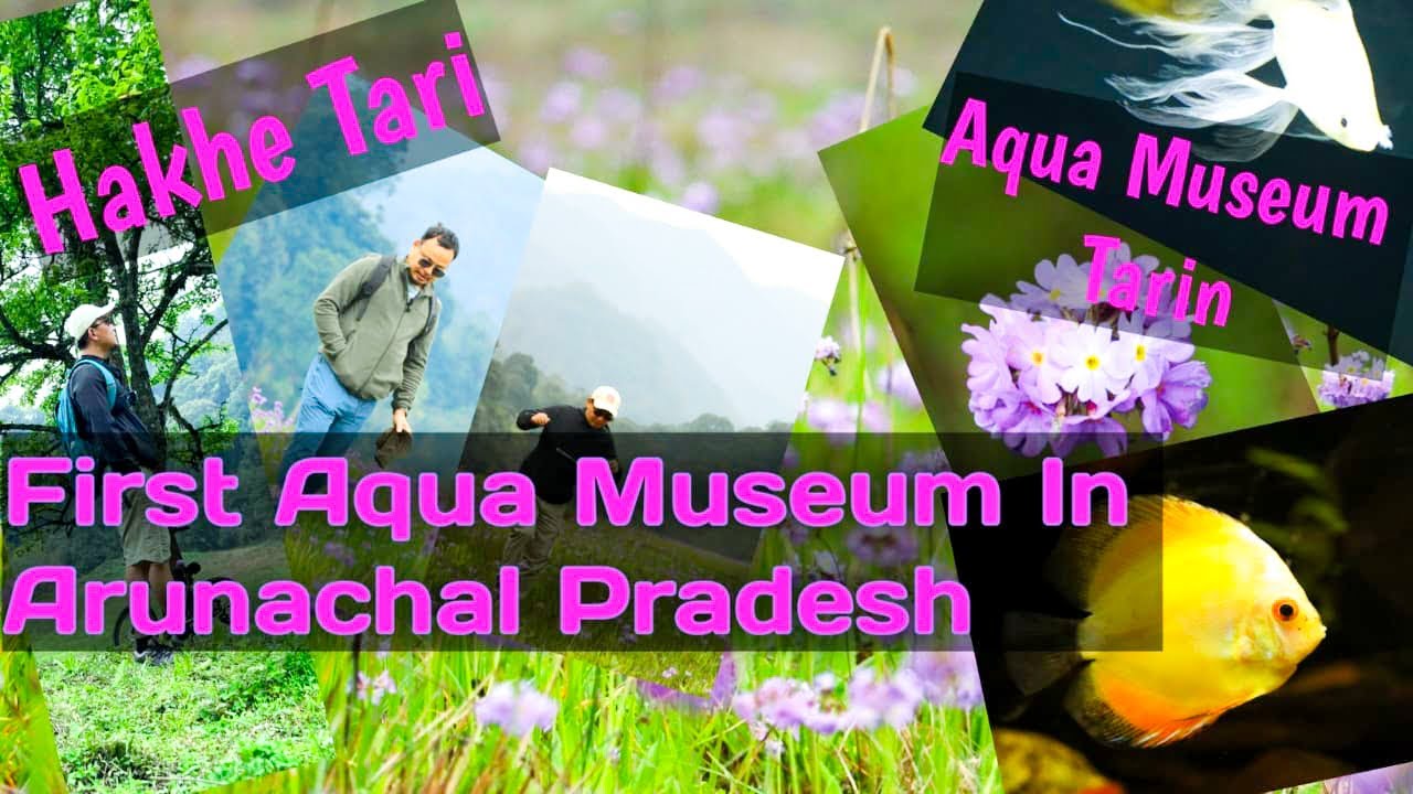 Hidden Paradise of Ziro | Hakhe Tari Valley of Flowers & Arunachal’s 1st Aqua Museum!