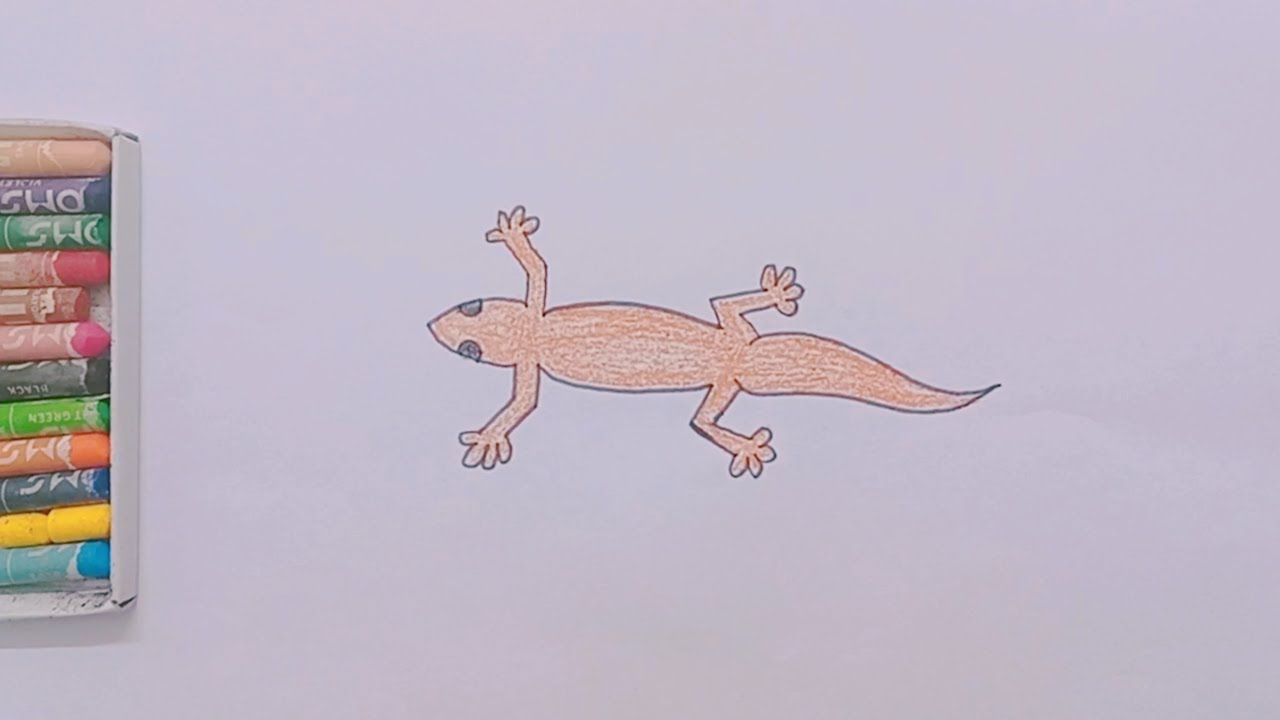 How To Draw A Lizard 🦎 | Easy Drawing Practice And Coloring For Kids