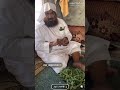 فوائد شجيرة الشورى أو الشار الطبية وكل ديرة ولها أسم غير