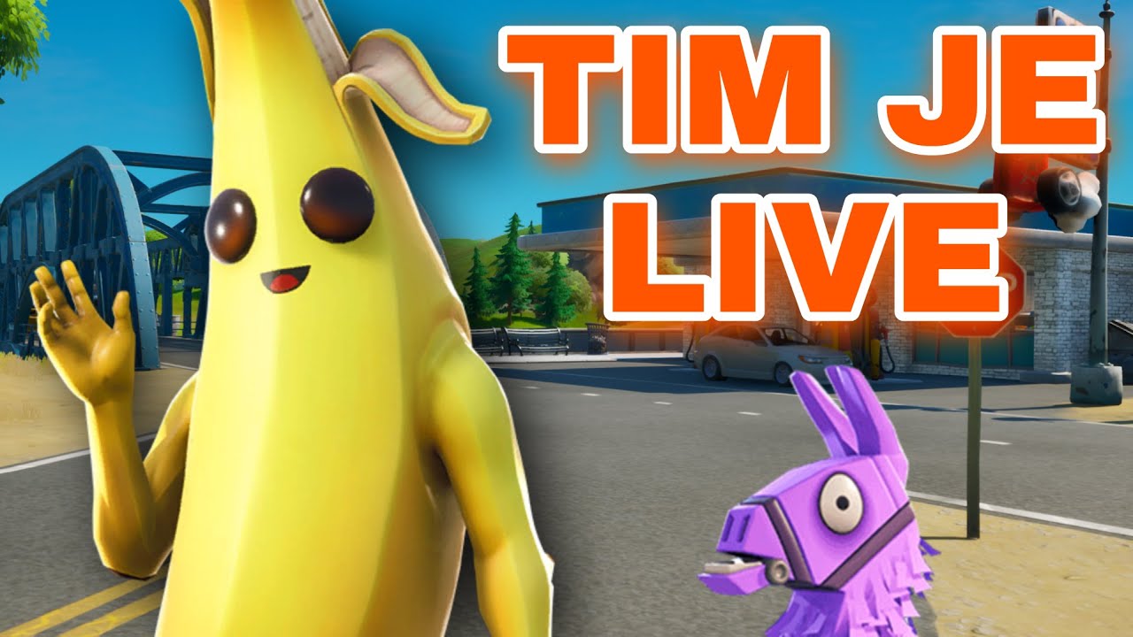 Gremo z gledalci / Fortnite LIVE (SLO)