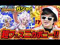 【 バウンティラッシュ 】初心者達が超フェスニカボニー狙いでガシャ引いた結果！！！【 ワンピース 】