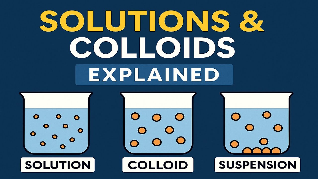 What Is A Colloid In Chemistry