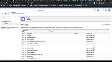 Salesforce Business hours and Holidays