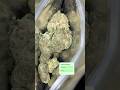 🍬lmk abut this Strain Zaza🧟♂️ #thca #Cannabis #weed #zaza #drugs StayĦigh🌞