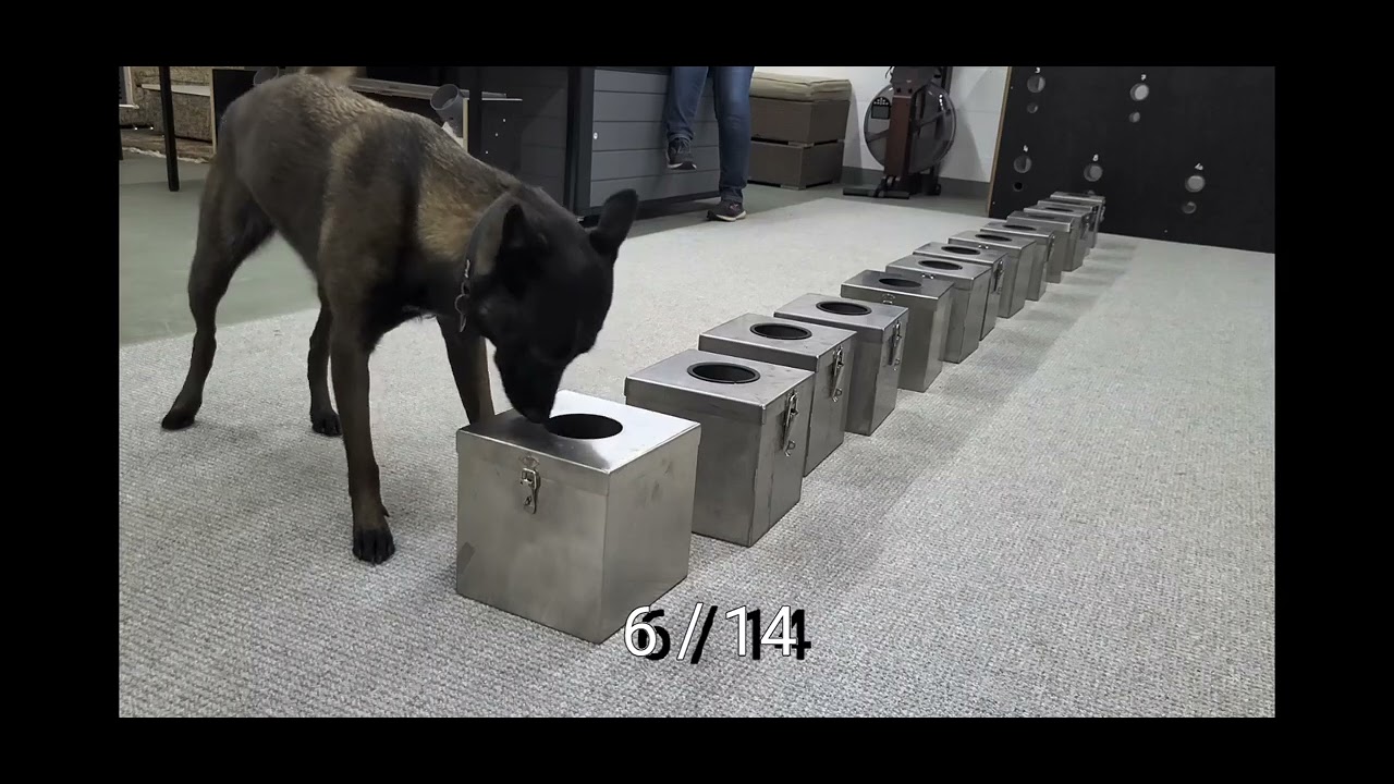 Amari - Kynotec-Workout KW 39 2025