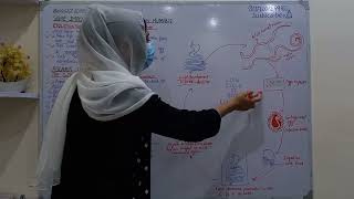 Life Cycle Of Ascaris Lumbricoides The Giant Intestinal Parasites Of Humans