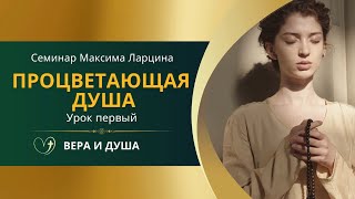 Процветающая душа,  урок 1 -  пастор Максим Ларцин screenshot 5