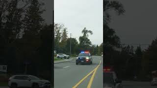 Passing a STOPPED School Bus🛑🚓 Police Respond!