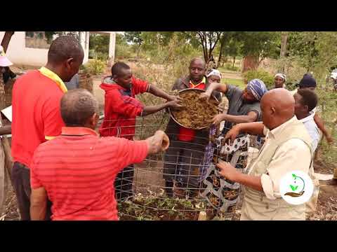 Video: Mbolea ya Kijani ni Nini - Kutumia na Kutengeneza Samadi ya Kijani