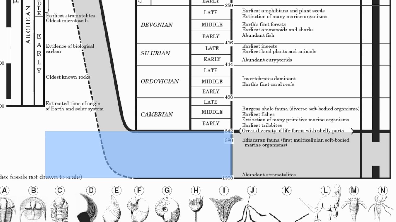 Page 8-Geologic History-Hommocks Earth Science Department - YouTube