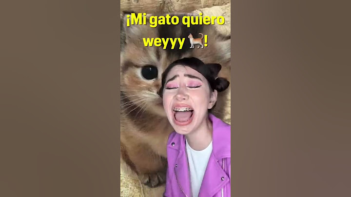 LO QUE ENTIENDO DE LAS CANCIONES EN INGLÉS 😂 #shorts