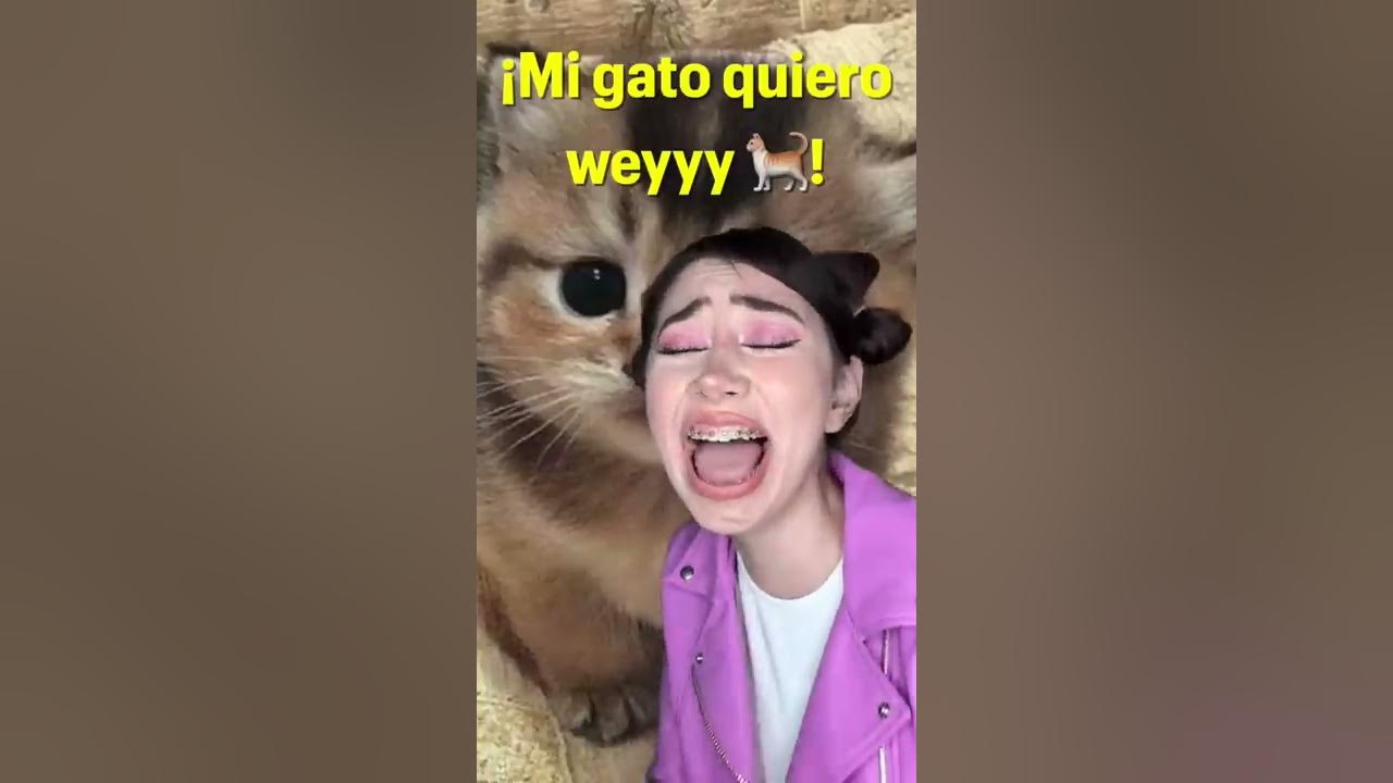 LO QUE ENTIENDO DE LAS CANCIONES EN INGLÉS 😂 #shorts