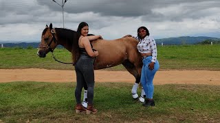 Yuca Y Salsita- Jesús D. Quintero - El Tigrito De Matanegra