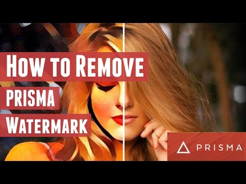 How to Remove Prisma Logo Watermark