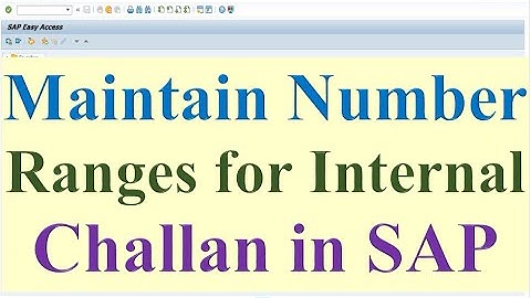 How to maintain Number Ranges for Internal challan in SAP