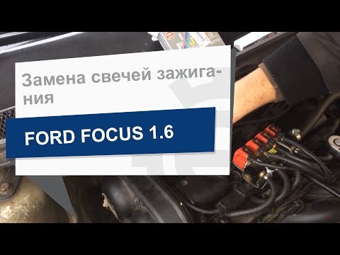 Замена свечей зажигания NGK 2467 на  Ford Focus 2