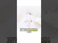 White Room Torture - The Most Devastating Psychological Torture Method In Human History