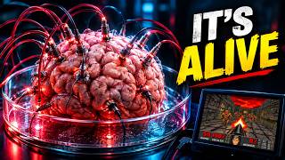 Human Brain Cells as Computers: A New Reality