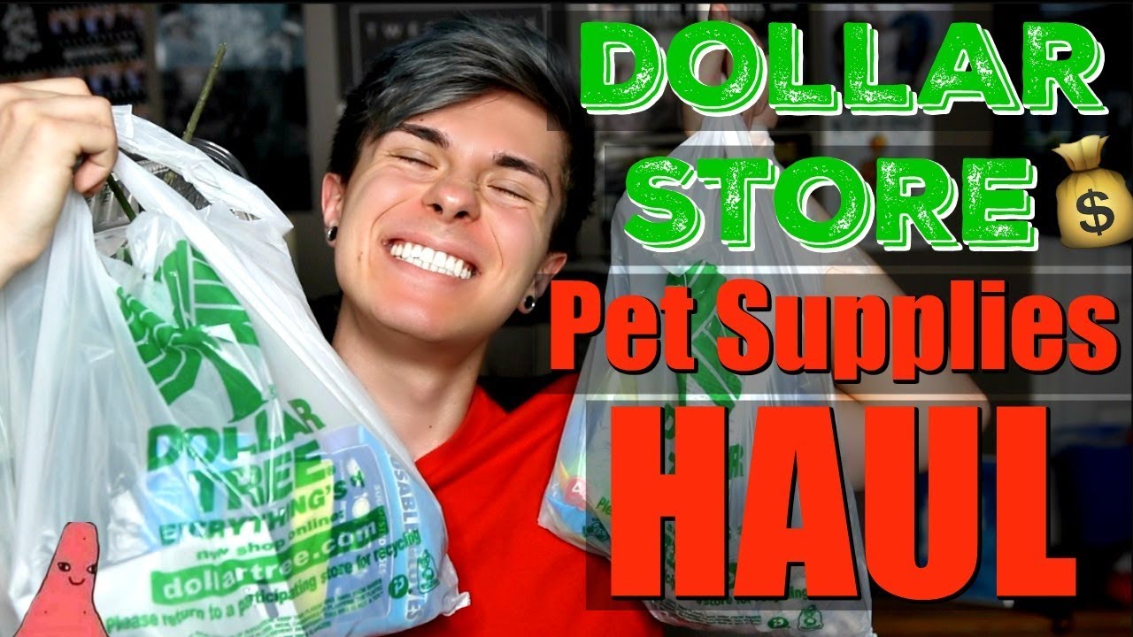 DOLLAR STORE PET SUPPLIES HAUL!!! YouTube