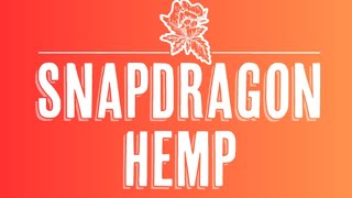 Snapdragon Hemp Super Lemon Haze Preroll Review