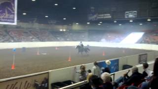 CMSA Northern Ohio Outlaws Equine Affaire