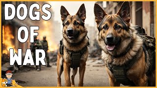 K9 Warriors: The Unsung Heroes of the Armed Forces by Our Pets Health 214 views 3 months ago 3 minutes, 21 seconds