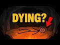 Your Body Has Been Dying Since The Day You Were Born.